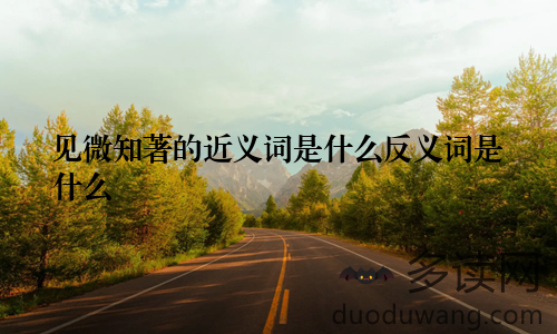 见微知著的近义词是什么反义词是什么