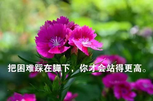 554754255dd941539c058fe73186352a.jpg