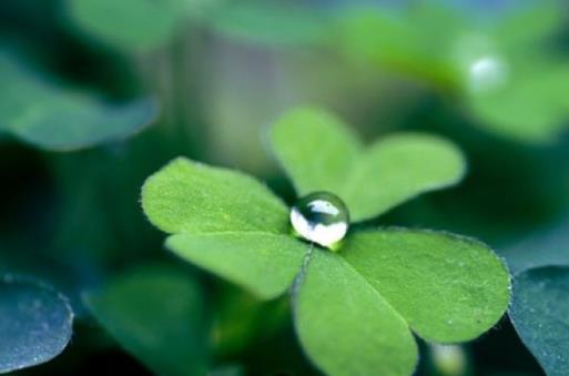 1564484825651157.jpg a56c6b2bfea14a41afa905cc0d76f6cd.jpg