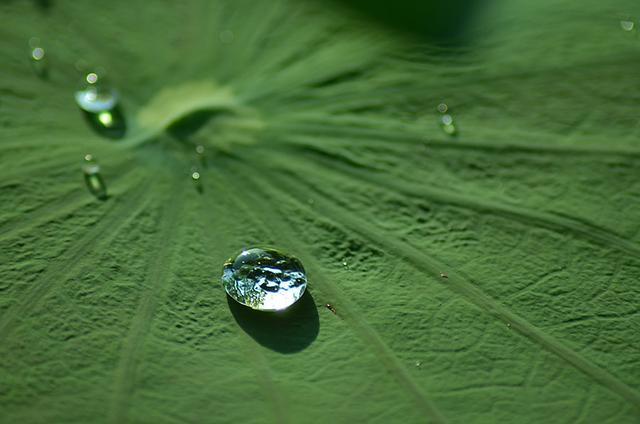 1564985168176246.jpg 6631a737c12340eebc1a000d7dbea179.jpg