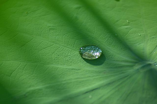 1564985174141383.jpg cc629f1a91ab4476bf443f36750a0de5.jpg