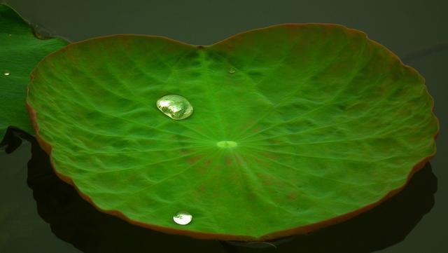 1564985180665767.jpg c157870090d84ffd8ea04370241516ba.jpg