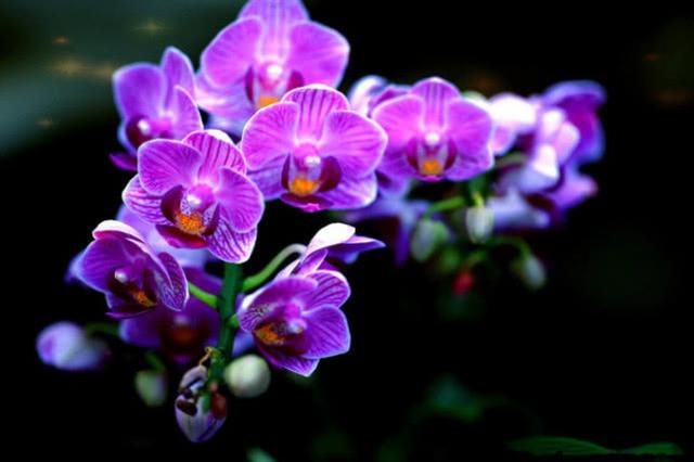 1565087513231638.jpg 1e994e138d9e4392bffc08e5c7b48074.jpg