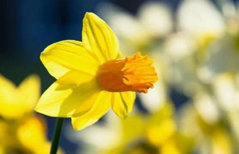 1565681245744135.jpg 3cf42d43de4046b2ac695a828d74136e.jpg