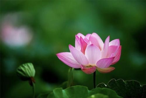 1565681249360795.jpg 397722b513344e6b85dadbe4041b953e.jpg