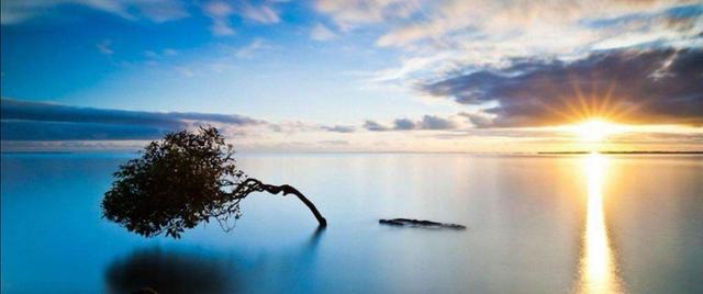 1569683332228765.jpg 4d28b04436314d78aa013399923f9e85.jpg