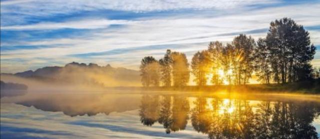 1569683339883043.jpg ef60d55a77f3426d99e84b05c2a3456c.jpg