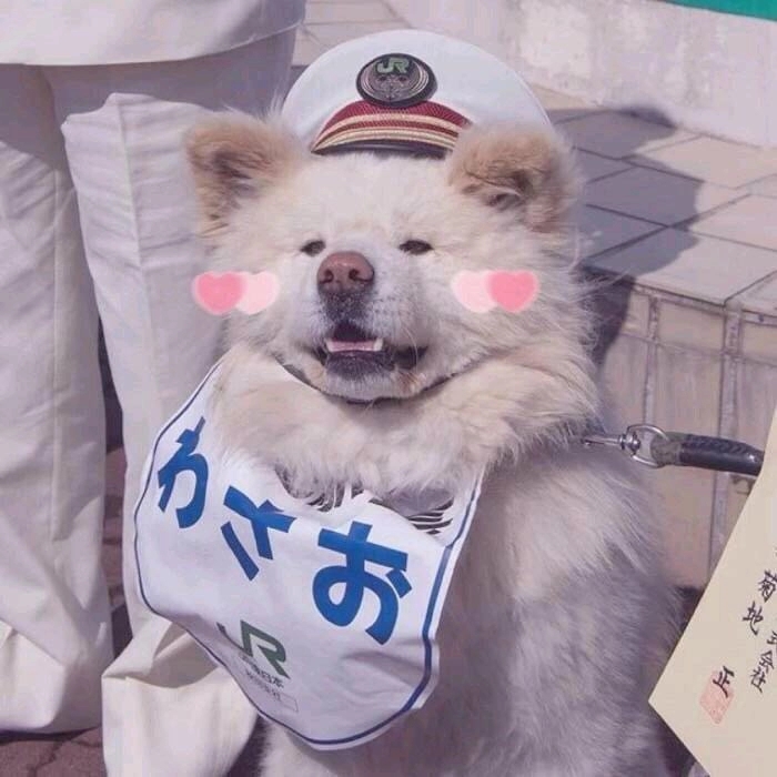F0DD0B5328628962B1C896C139519E57.jpg
