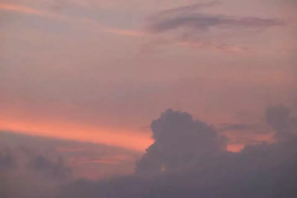 9D963E568F088E1E7C7E41A378715817.jpg