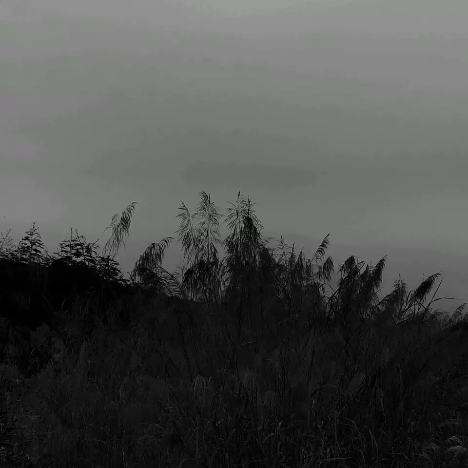 E6883F53F1916EB6306122D35728EC27.jpg