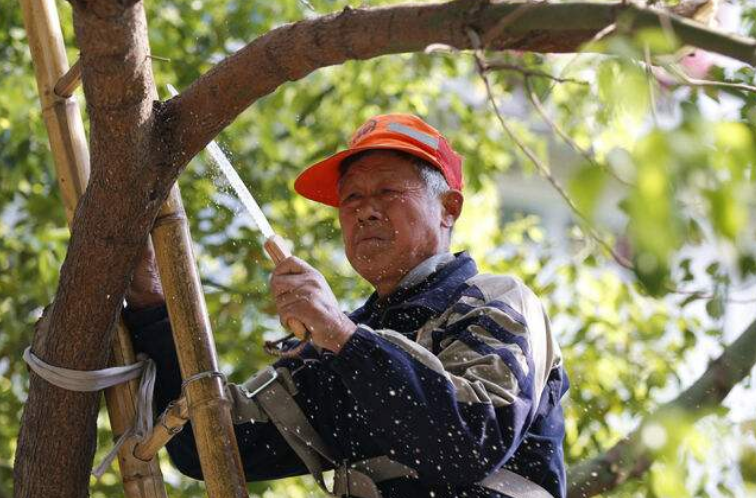 1594965203842413.png image.png