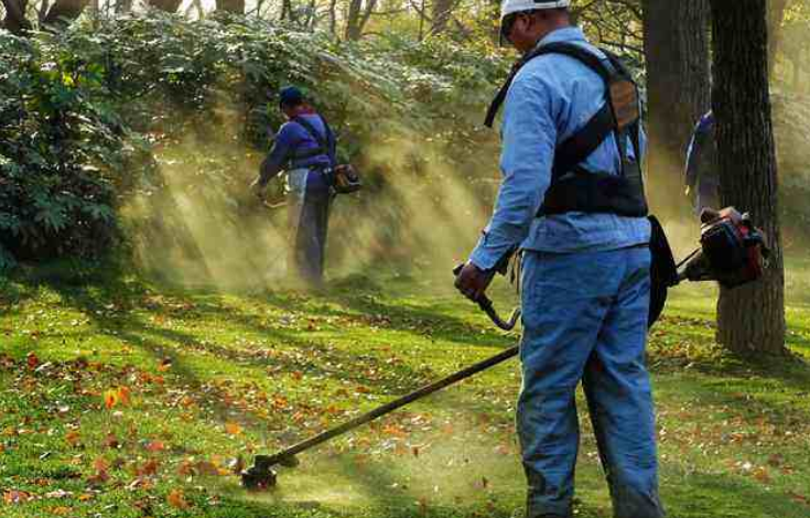 1594965227518087.png image.png