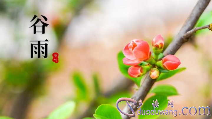 1703057124804582.png image.png