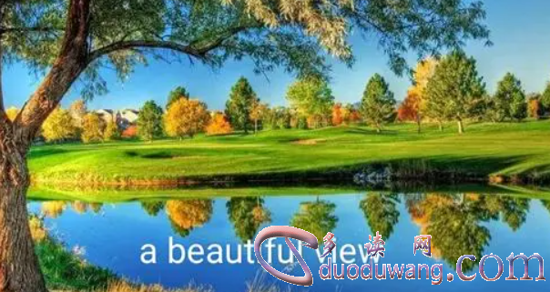 1703072270122878.png image.png