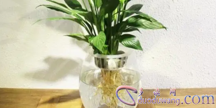 1707059654104345.png image.png