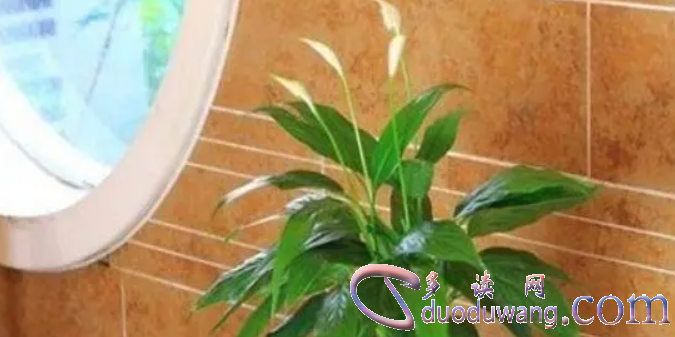 1707059662814583.png image.png