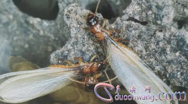 1707718581308450.png image.png