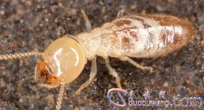 1707718589345165.png image.png