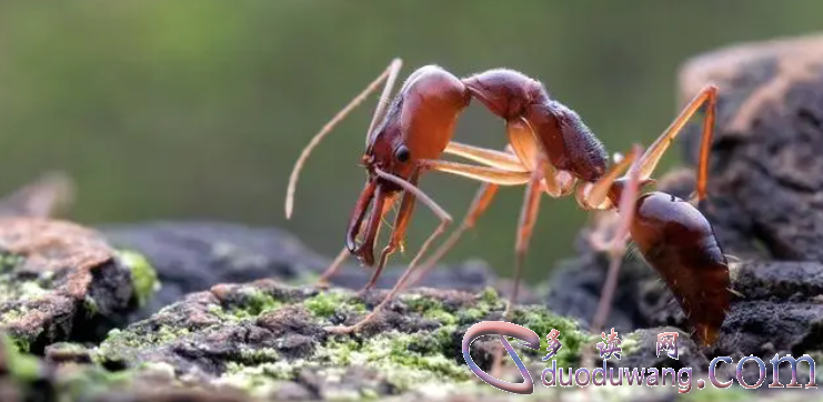 1707892740801042.png image.png