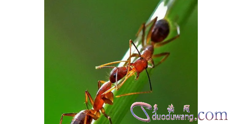 1707892775311165.png image.png