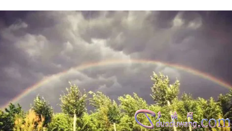 1707892892834951.png image.png