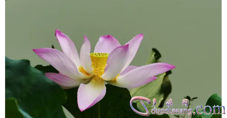 1707978648317528.png image.png