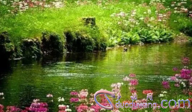 1708664437639386.png image.png