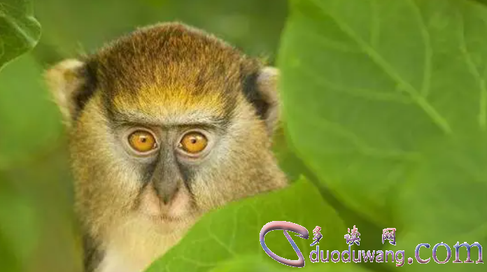 1708664468518481.png image.png