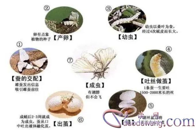 1709196980501615.png image.png