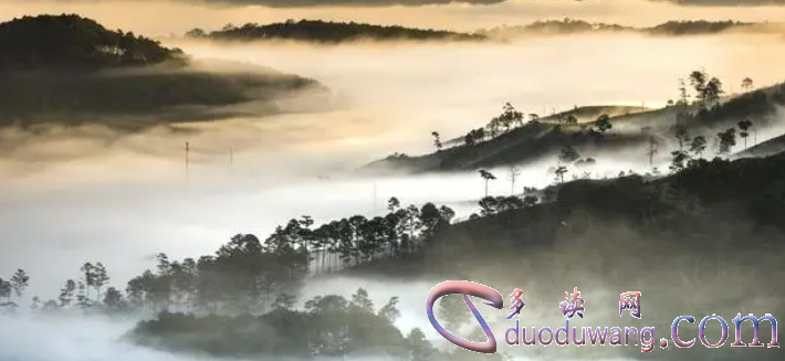 1709279330866986.png image.png