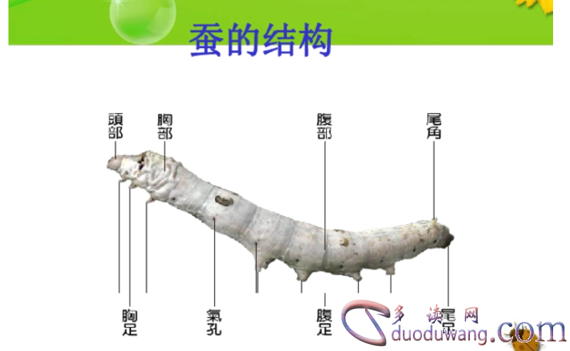 1709357139193568.png image.png