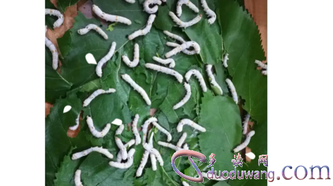 1709357147544019.png image.png