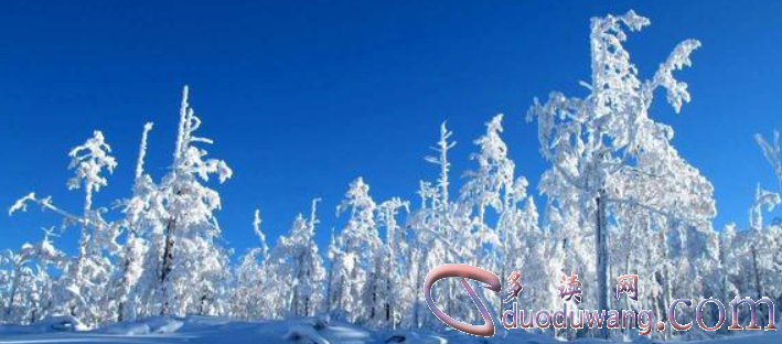 1709727341903091.png image.png