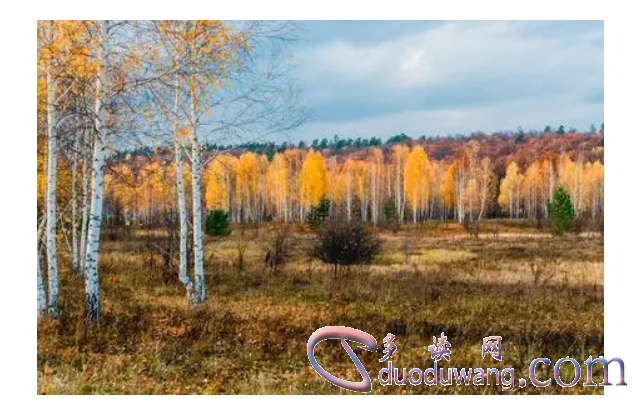 1710493485580906.png image.png