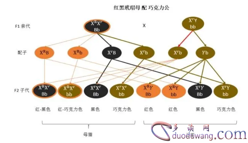 1710745304539677.png image.png