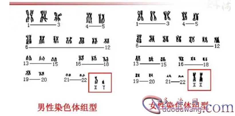 1710745311850751.png image.png