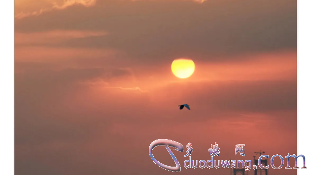 1711707609334494.png image.png