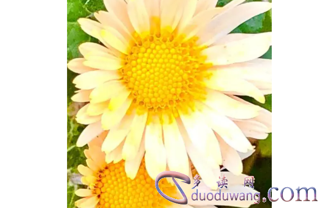 1711875010429906.png image.png