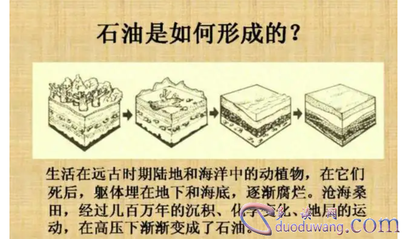 1711969629889012.png image.png