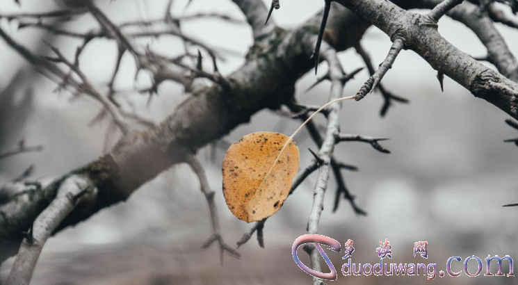 1712307308731770.png image.png