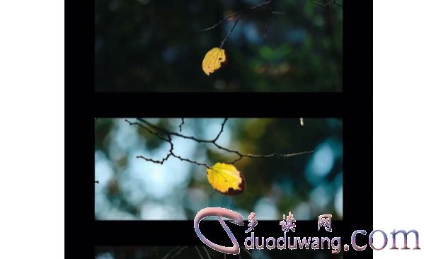 1712307314960012.png image.png