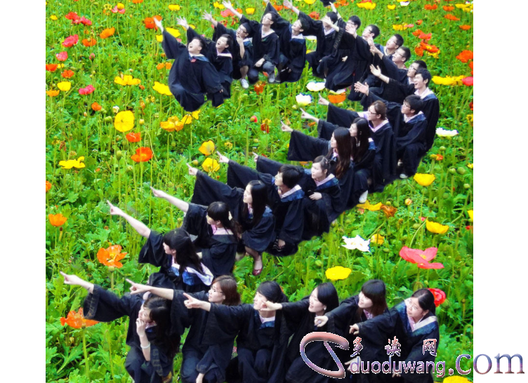 1712360205687842.png image.png