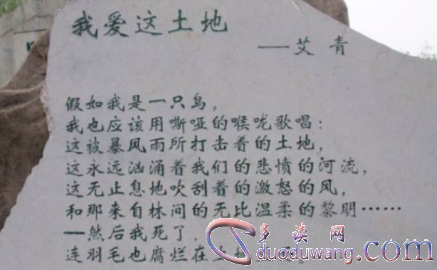 1712562184225297.png image.png