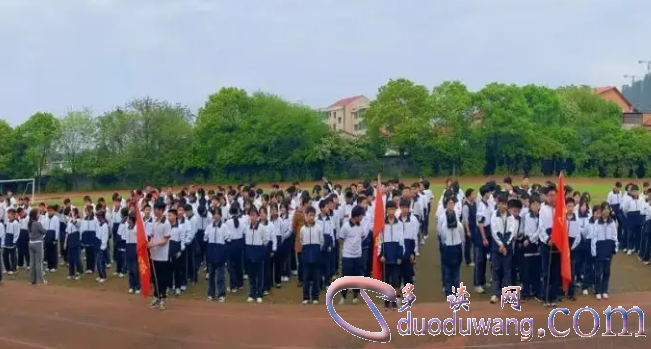 1713012971306537.png image.png