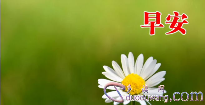 1713103587623668.png image.png