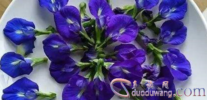 1716815833868655.png image.png