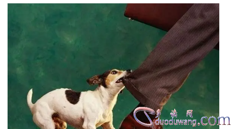 1716907406289077.png image.png