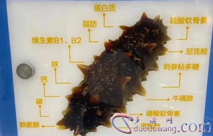 1717296764948671.png image.png