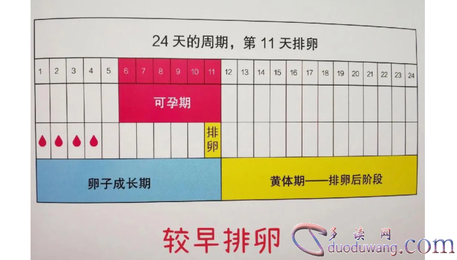 1717416941390924.png image.png