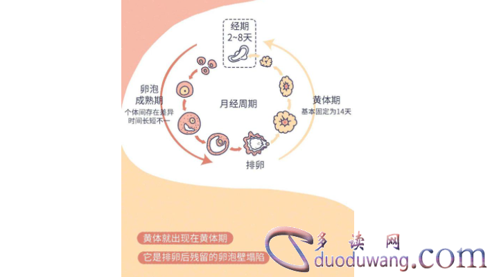 1717416949465765.png image.png